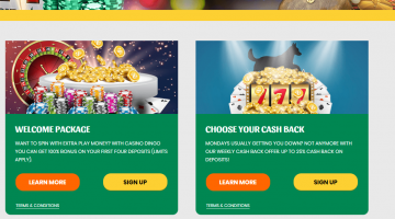 Casino Dingo promotions