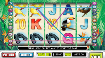 Birds of Paradise slot free spins