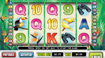 Birds of Paradise slot game