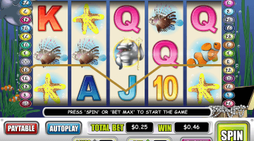 Dolphin King Slot Game