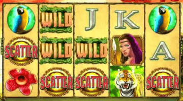 Jungle King Slot Game